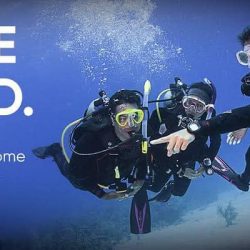 DIVE MASTER